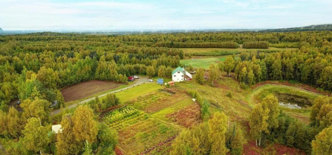 Falcon'S Nest Bed And Breakfast Толкітна Екстер'єр фото