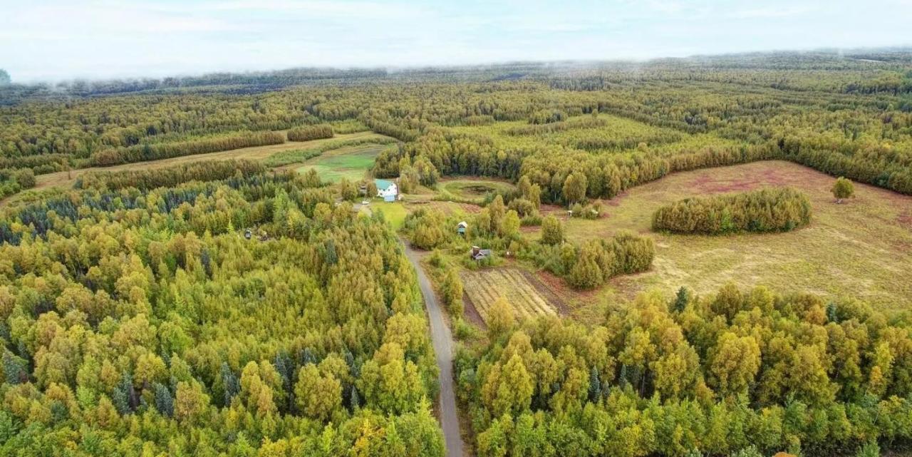 Falcon'S Nest Bed And Breakfast Толкітна Екстер'єр фото