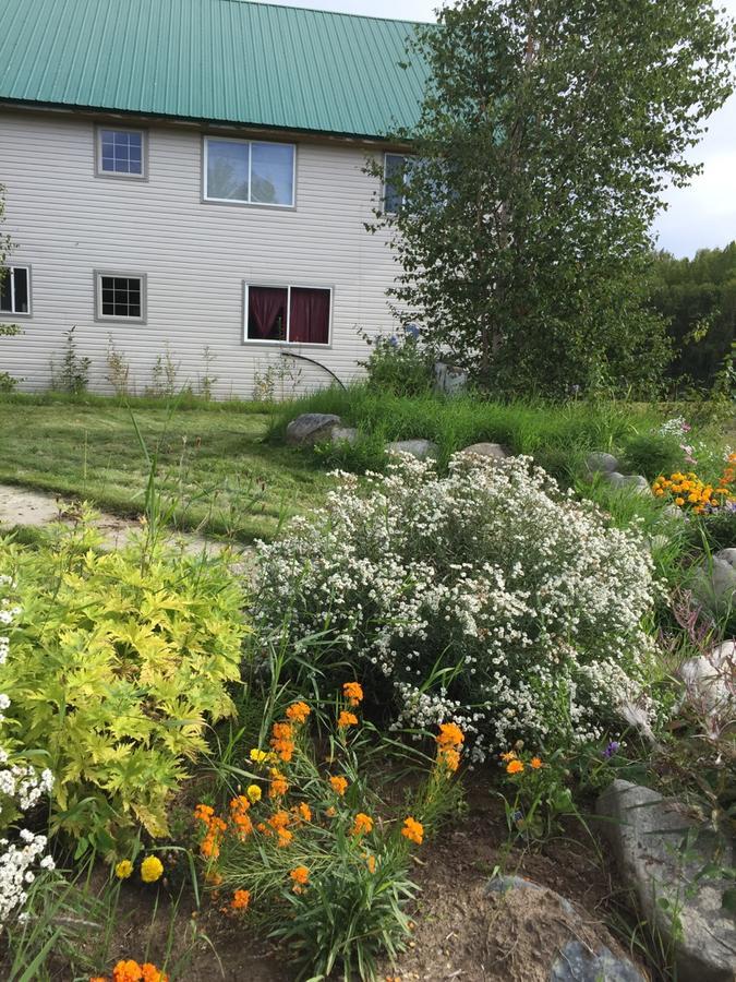 Falcon'S Nest Bed And Breakfast Толкітна Екстер'єр фото